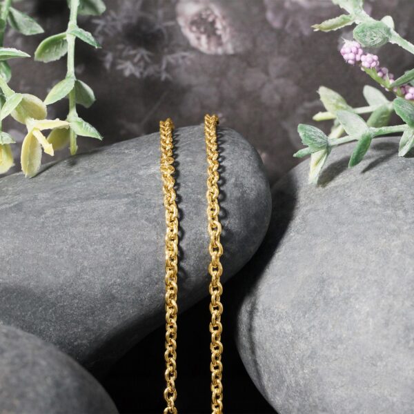 14k Yellow Gold Forsantina Lite Cable Link Chain (2.90 mm) - Image 4