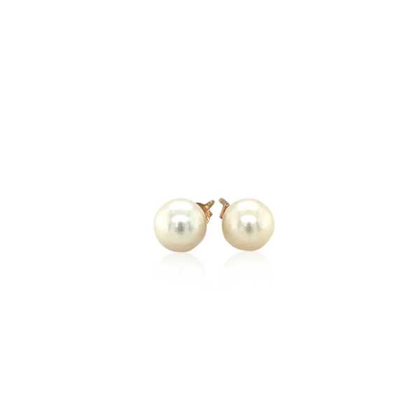14k Yellow Gold Freshwater Cultured White Pearl Stud Earrings (6mm) - Image 2