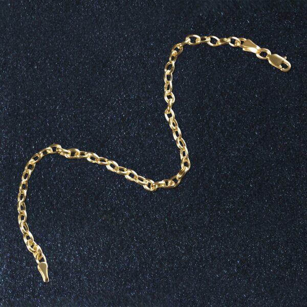 14k Yellow Gold Oval Rolo Bracelet  (3.20 mm) - Image 3