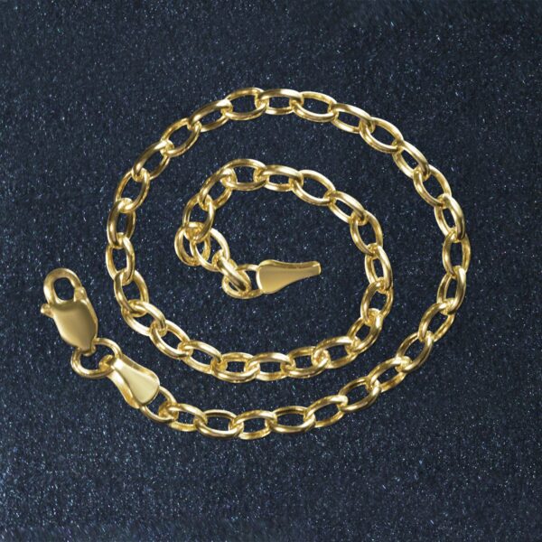 14k Yellow Gold Oval Rolo Bracelet  (3.20 mm) - Image 4