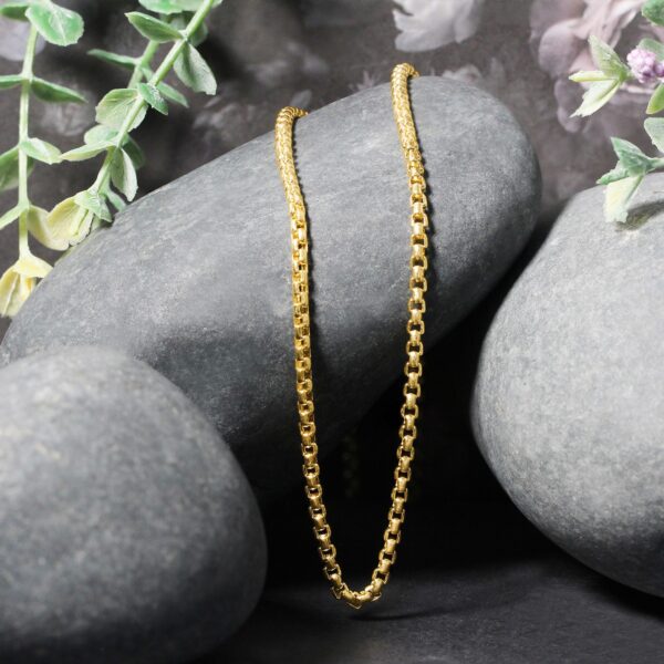 14k Yellow Gold Round Box Chain (2.5 mm) - Image 4