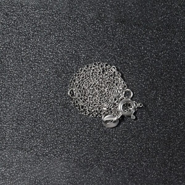 Double Extendable Piatto Chain in 14k White Gold (1.30 mm) - Image 4