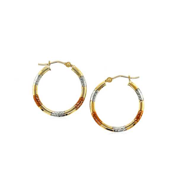 10k Tri-Color Gold Classic Hoop Earrings with Diamond Cut Details(20mm) - Image 2