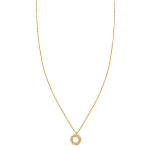 Classic 14K Yellow Gold Petite Diamond Circle Necklace