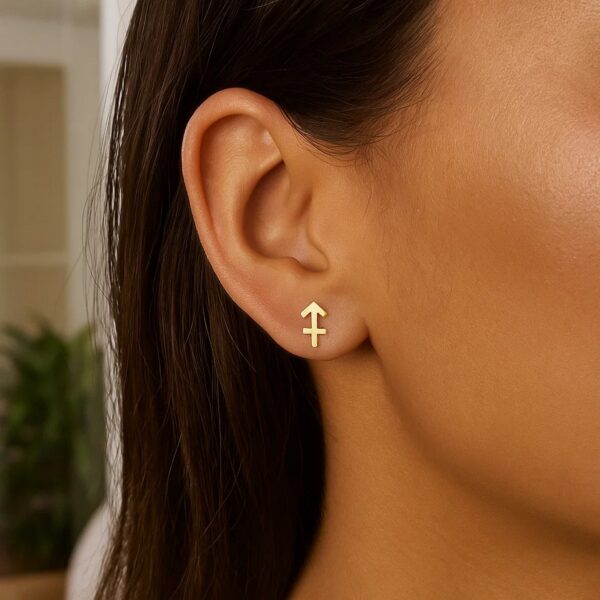 14k Yellow Gold Sagittarius Stud Earrings - Image 3