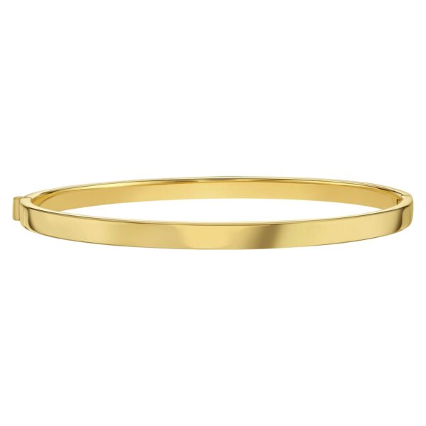 14K Yellow Gold Classic Bangle (4.00 mm) - Image 2