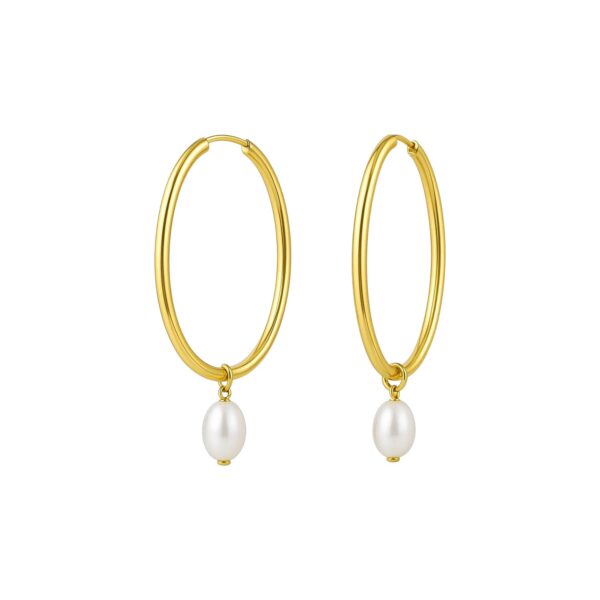 Pearl Drop Oval Earrings in 14K Yellow Gold - Image 4